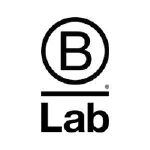 BLab logo