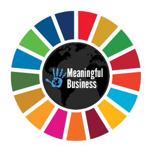 Meaningful Business