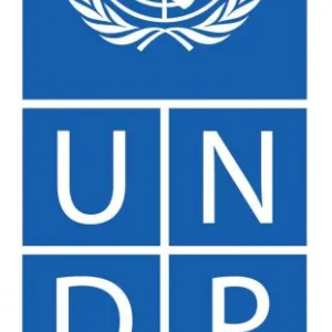 UNDP20logo20jpg-310x700.jpg