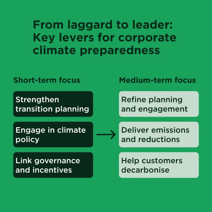 From laggard to leader