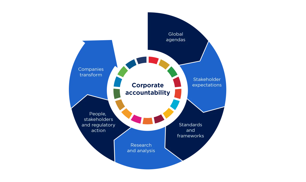 Corporate accountability process