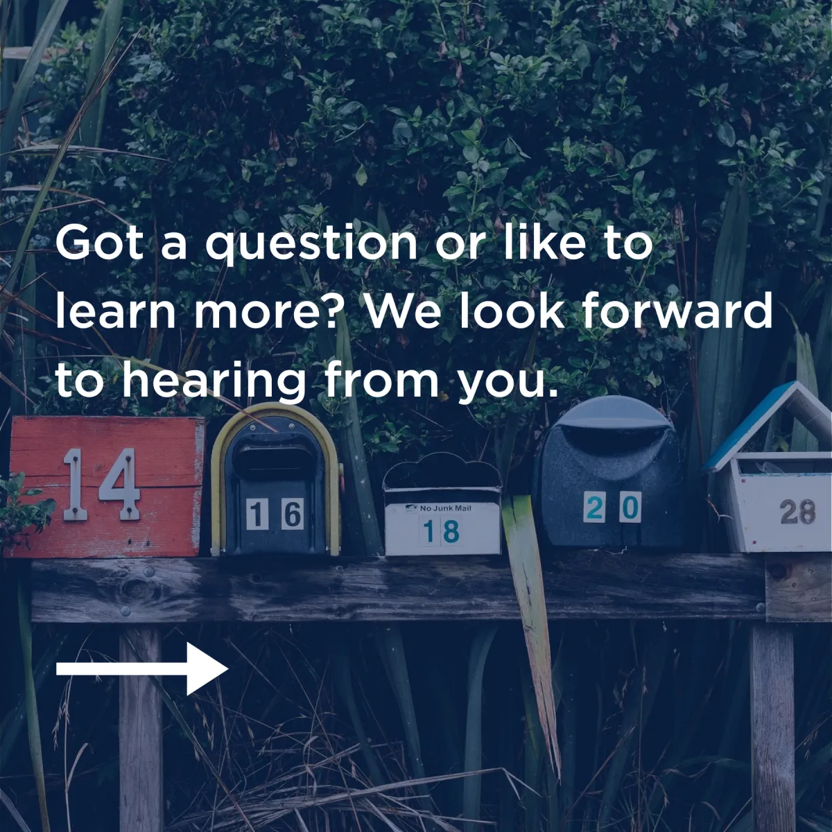 Background_contact_1