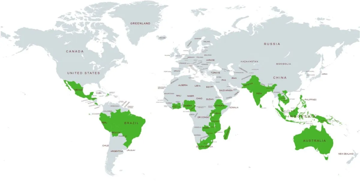The 350 biggest food and agriculture companies source commodities from small-scale producers based in low and middle-income countries.